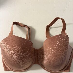 Wacoal Dot Patterned back appeal underwire bra in Rose Dust. 36G